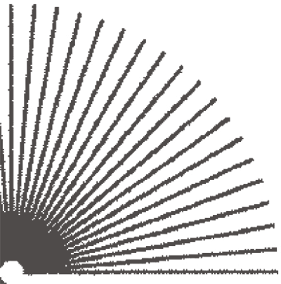 What does a shareholder have the right to know about a public company?